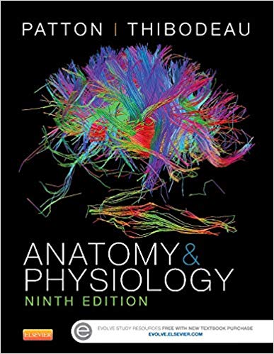 Solution Manual for Anatomy and Physiology 9th Edition by Kevin T. Patton PhD