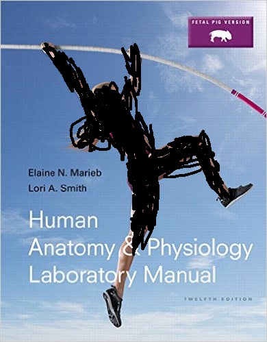 Solution Manual for Human Anatomy and Physiology Laboratory Manual Cat Version 12th Edition by Elaine N. Marieb