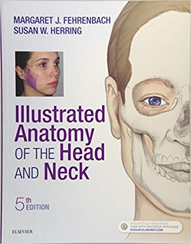 Solution Manual for Illustrated Anatomy of the Head and Neck 5th Edition by Margaret J. Fehrenbach