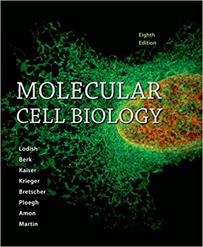 Solution Manual for Molecular Cell Biology 8th Edition by Harvey Lodish