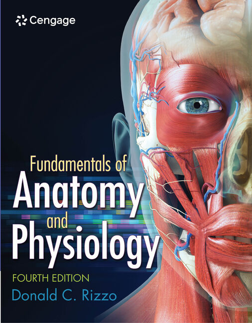Solution Manual for Rizzo 4e Fundamentals of Anatomy and Physiology 4e