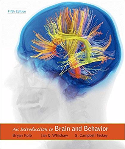 Test Bank for An Introduction to Brain and Behavior 5th Edition by Bryan Kolb