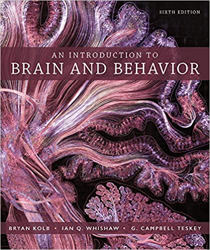 Test Bank for An Introduction to Brain and Behavior 6th Edition by Bryan Kolb