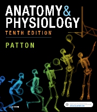 Test Bank for Anatomy and Physiology 10th Edition by Kevin T. Patton