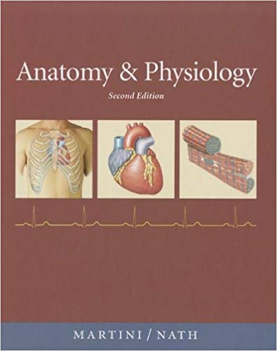 Test Bank for Anatomy and Physiology 2nd Edition by Frederic H. Martini