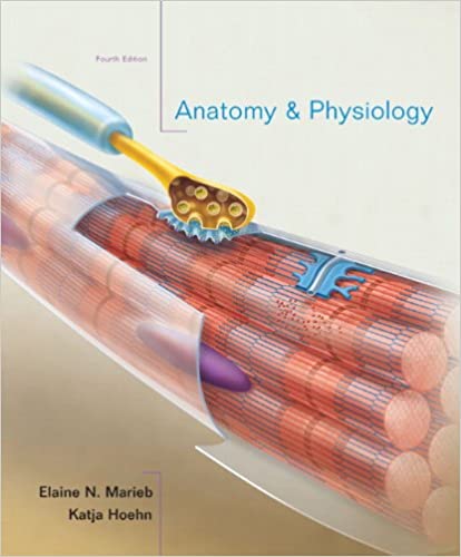 Test Bank for Anatomy and Physiology 4th Edition by Elaine N. Marieb
