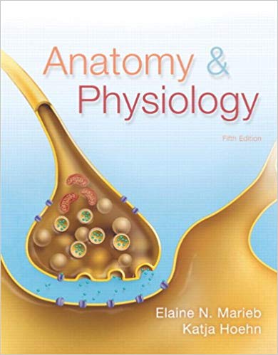 Test Bank for Anatomy and Physiology 5th Edition by Elaine N. Marieb