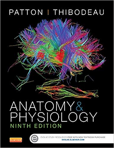 Test Bank for Anatomy and Physiology 9th Edition by Patton
