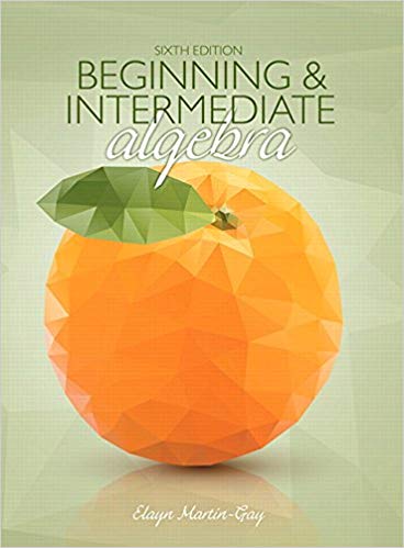 Test Bank for Beginning and Intermediate Algebra 6th Edition by Elayn Martin Gay