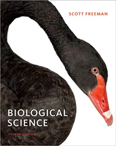 Test Bank for Biological Science 4th Edition by Scott Freeman
