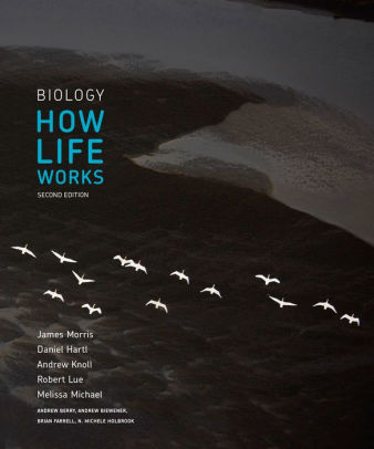 Test Bank for Biology How Life Works 2nd Edition by James Morris