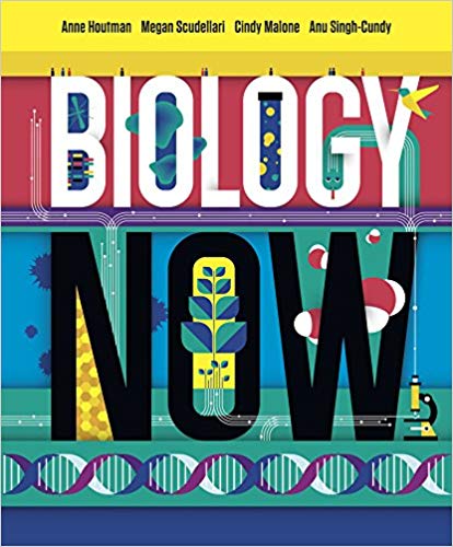 Test Bank for Biology Now 1st Edition by Anne Houtman