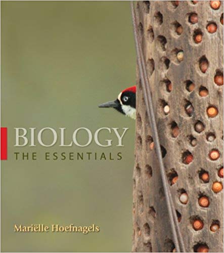 Test Bank for Biology The Essentials 1st Edition by Hoefnagels
