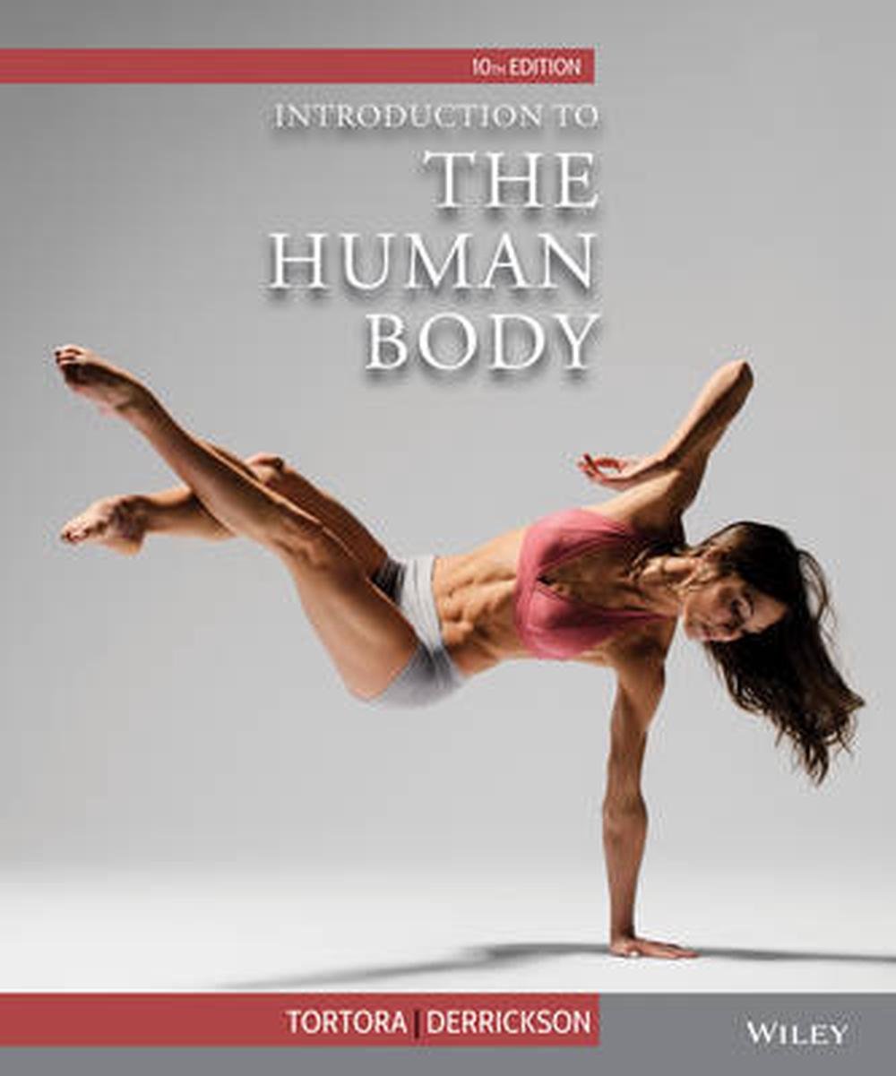 Test Bank for Derrickson Introduction to the Human Body 10th Edition by Tortora