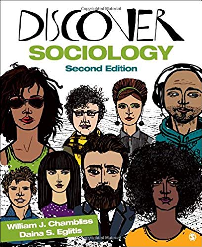 Test Bank for Discover Sociology Second Edition by William J. Chambliss