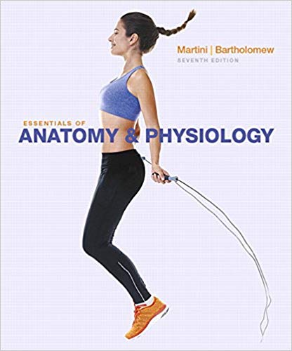 Test Bank for Essentials of Anatomy Physiology 7th Edition by Frederic H. Martini