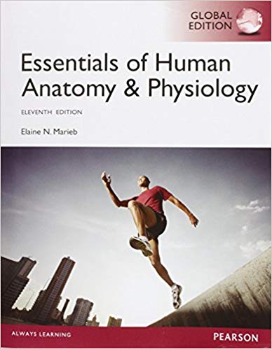Test Bank for Essentials of Human Anatomy and Physiology Global 11th Edition by Elaine N. Marieb