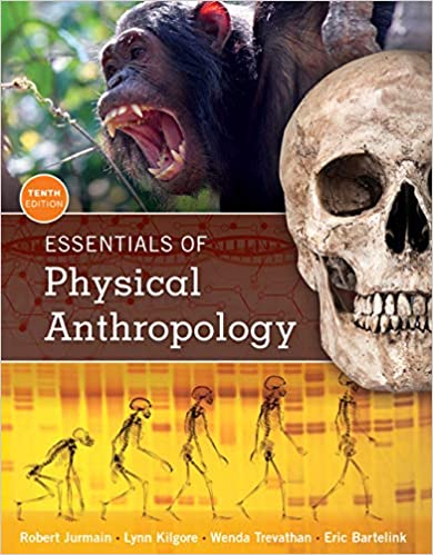 Test Bank for Essentials of Physical Anthropology 10th Edition by Robert Jurmain