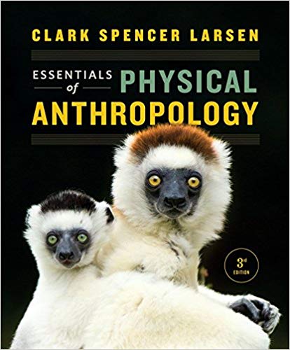 Test Bank for Essentials of Physical Anthropology 3rd Edition by Clark Spencer Larsen
