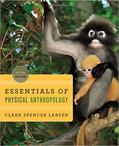 Test Bank for Essentials of Physical Anthropology Discovering Our Origins 2nd Edition by Clark Spencer Larsen