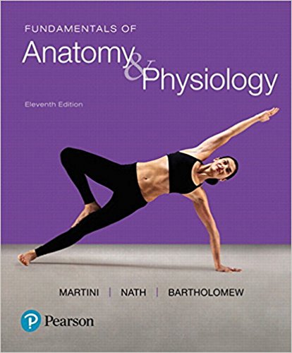 Test Bank for Fundamentals of Anatomy and Physiology 11th Edition by Frederic H. Martini