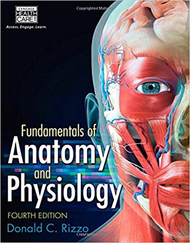 Test Bank for Fundamentals of Anatomy and Physiology 4th Edition by Donald C Rizzo