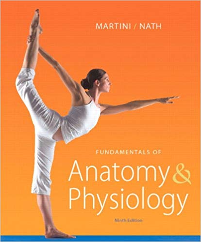 Test Bank for Fundamentals of Anatomy and Physiology 9th Edition by Frederic H. Martini