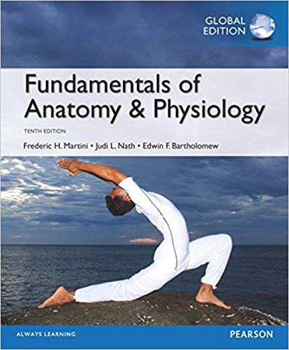 Test Bank for Fundamentals of Anatomy and Physiology Global 10th Edition by Frederic H. Martini