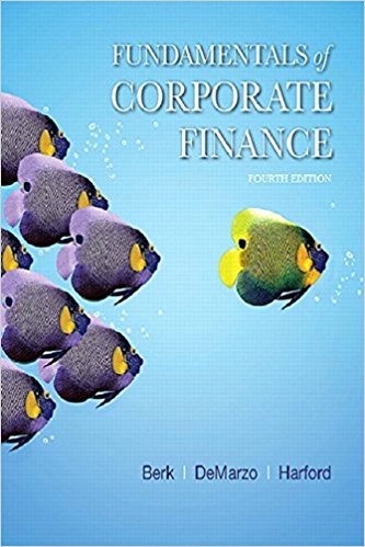 Test Bank for Fundamentals of Corporate Finance 4th Edition Jonathan Berk