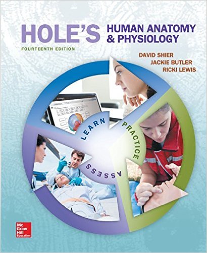 Test Bank for Holes Human Anatomy and Physiology 14th Edition by David Shier
