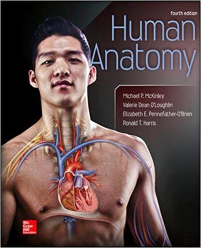 Test Bank for Human Anatomy 4th Edition by Michael McKinley Dr.