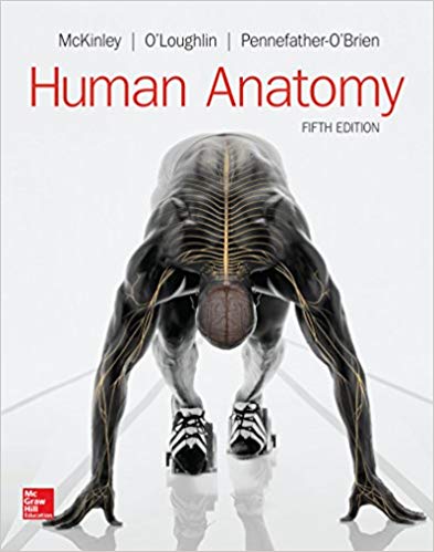 Test Bank for Human Anatomy 5th Edition by Michael McKinley Dr.