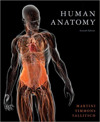 Test Bank for Human Anatomy 7th Edition by Frederic H. Martini