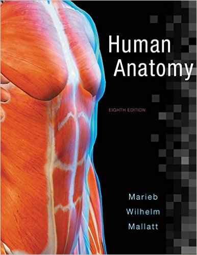 Test Bank for Human Anatomy 8th Edition by Elaine N. Marieb