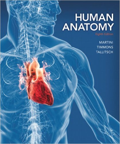 Test Bank for Human Anatomy 8th Edition by Frederic H. Martini