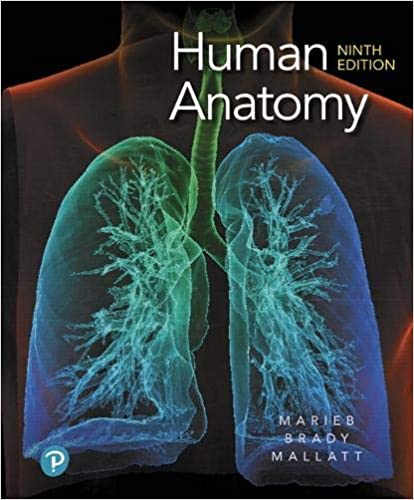 Test Bank for Human Anatomy 9th Edition by Elaine N. Marieb
