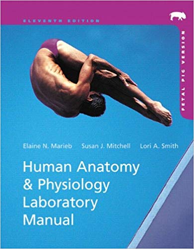 Test Bank for Human Anatomy and Physiology Laboratory Manual Fetal Pig Version 11th Edition by Elaine N. Marieb