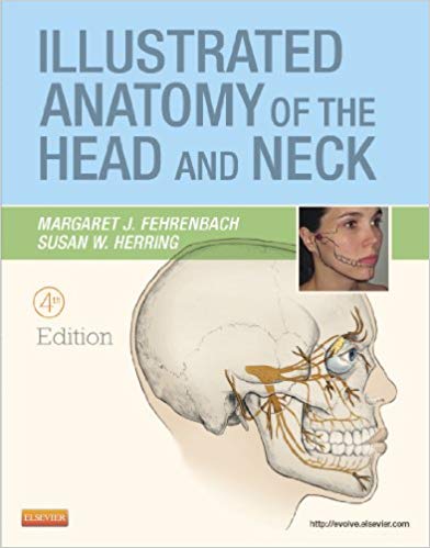 Test Bank for Illustrated Anatomy of the Head and Neck 4th Edition by Margaret J. Fehrenbach