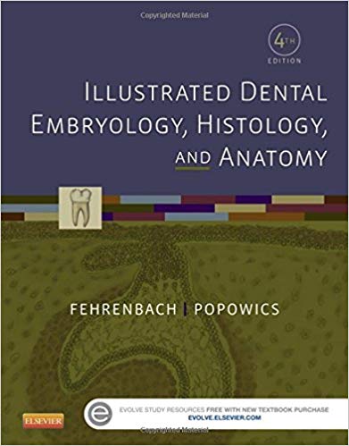 Test Bank for Illustrated Dental Embryology Histology and Anatomy 4th Edition by Margaret J. Fehrenbach