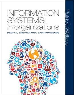 Test Bank for Information Systems in Organizations People Technology and Processes 1st Edition by Wallace