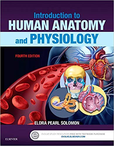Test Bank for Introduction to Human Anatomy and Physiology 4th Edition by Eldra Pearl Solomon