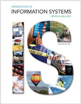 Test Bank for Introduction to Information Systems 2nd Edition by Patricia Wallace