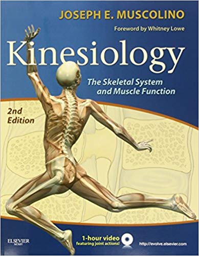 Test Bank for Kinesiology The Skeletal System and Muscle Function 2nd Edition by Joseph E. Muscolino