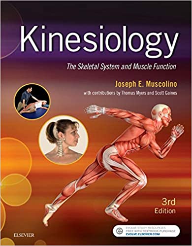 Test Bank for Kinesiology The Skeletal System and Muscle Function 3rd Edition by Joseph E. Muscolino DC