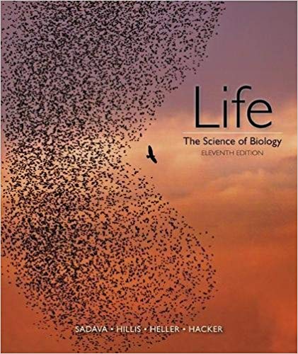 Test Bank for Life The Science of Biology 11th Edition by David E. Sadava