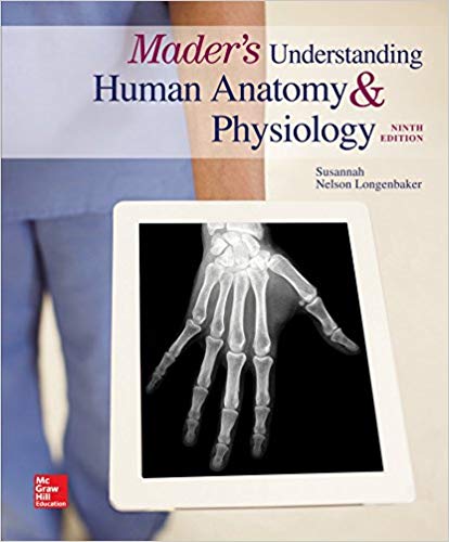 Test Bank for Maders Understanding Human Anatomy Physiology 9th Edition by Susannah N. Longenbaker Dr.