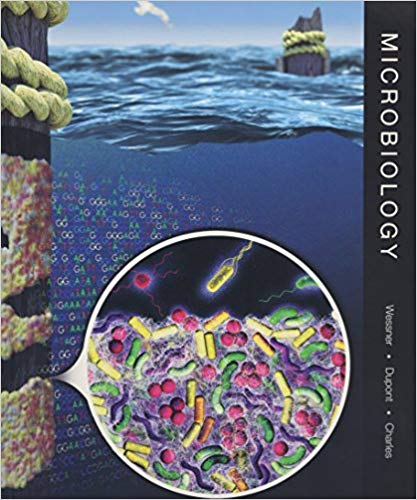 Test Bank for Microbiology 1st Edition by Dave Wessner