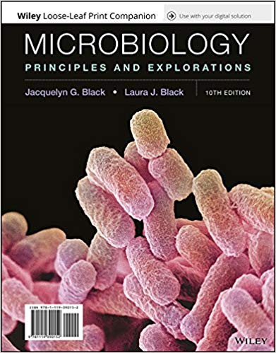 Test Bank for Microbiology Principles and Explorations10th Edition by Jacquelyn G. Black