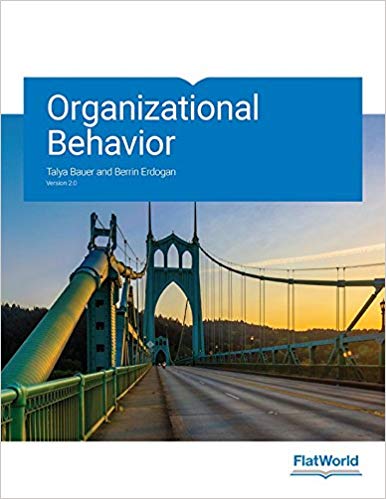 Test Bank for Organizational Behavior V. 2.0 by Talya Bauer and Berrin Erdogan