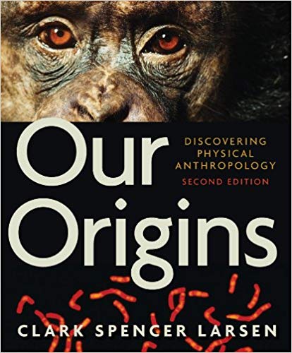 Test Bank for Our Origins Discovering Physical Anthropology 2nd Edition by Clark Spencer Larsen